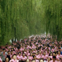 2015 hangzhou marathon